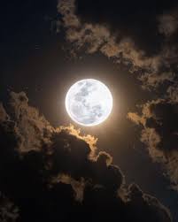 Valley Of The Wolves screenshot 0