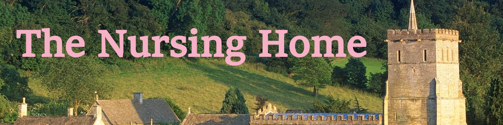 The Nursing Home screenshot 0