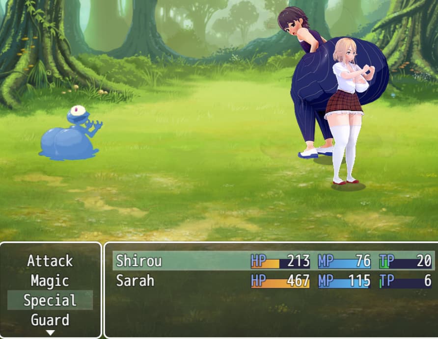 Adventures Of Shirou screenshot 1
