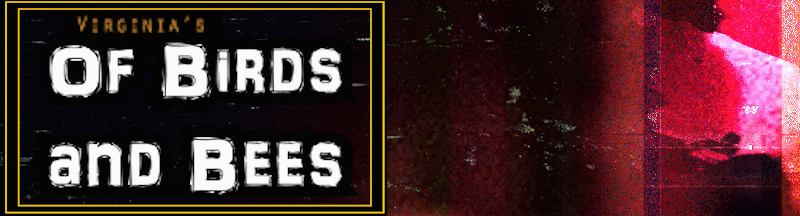 Of Birds and Bees screenshot 0