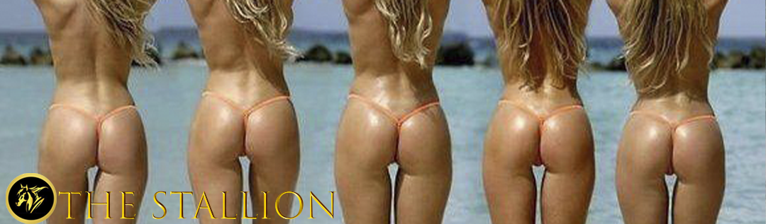 The Stallion screenshot 0