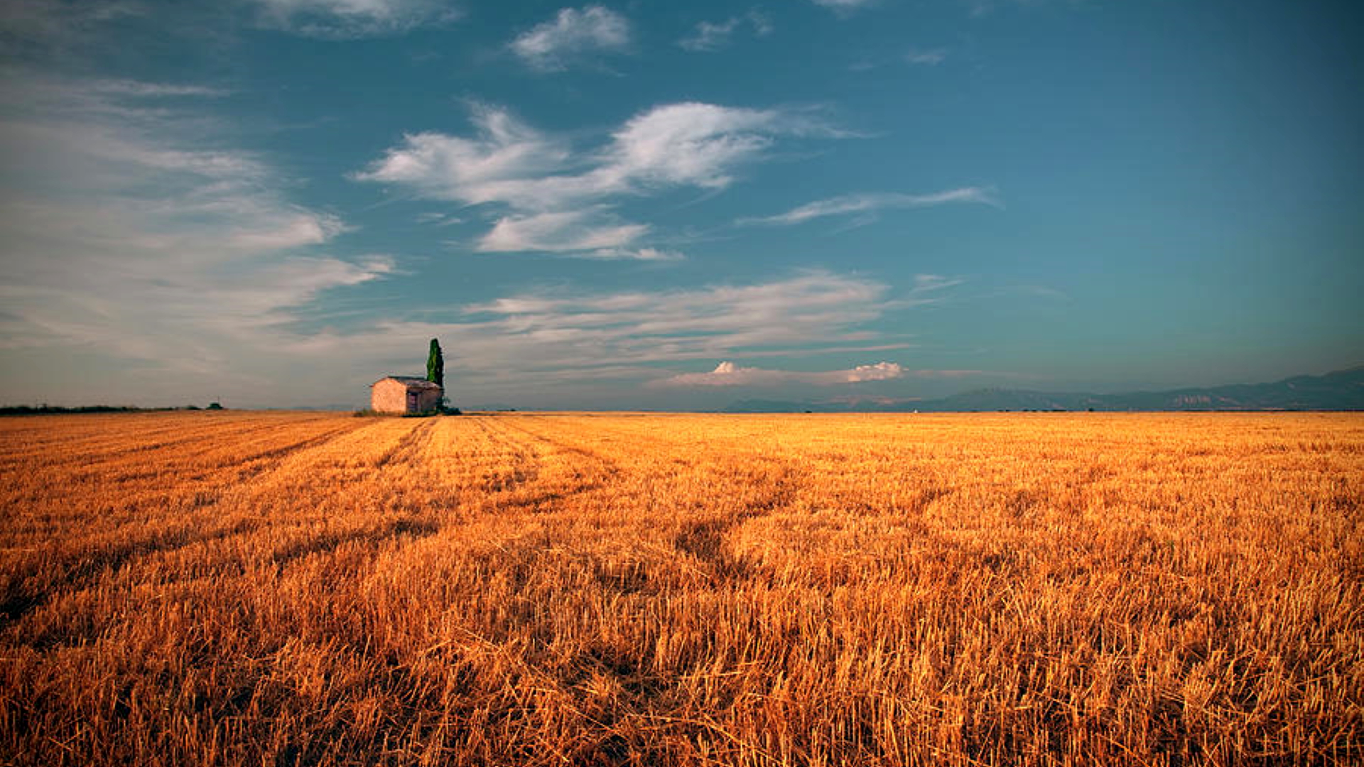 Yes, We Are screenshot 0